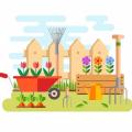 Gardening horticulture hobby tools vegetables crate plants 1416 850